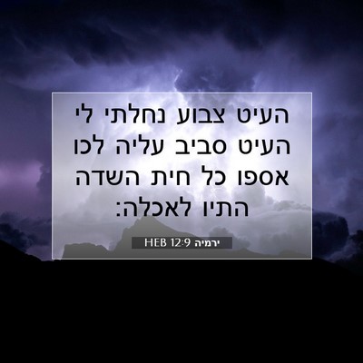 Picture 07 - ירמיה 12:9 HEB - העיט צבוע נחלתי לי העיט - Bible Verse Picture