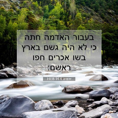 Picture 07 - ירמיה 14:4 HEB - בעבור האדמה חתה כי לא היה - Bible Verse Picture