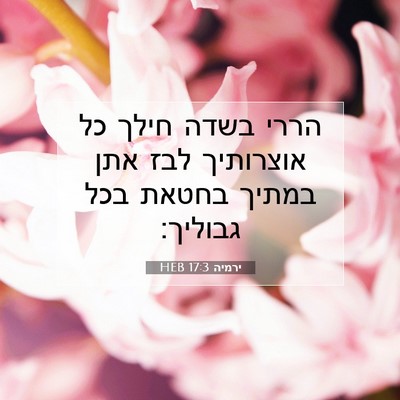 Picture 07 - ירמיה 17:3 HEB - הררי בשדה חילך כל אוצרותיך - Bible Verse Picture