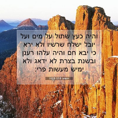 Picture 07 - ירמיה 17:8 HEB - והיה כעץ שתול על מים ועל - Bible Verse Picture