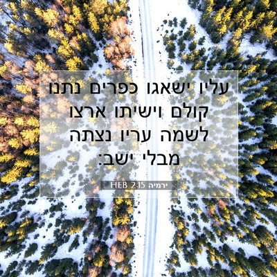 Picture 07 - ירמיה 2:15 HEB - עליו ישאגו כפרים נתנו קולם - Bible Verse Picture
