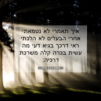 Picture 07 - ירמיה 2:23 HEB - איך תאמרי לא נטמאתי אחרי - Bible Verse Picture