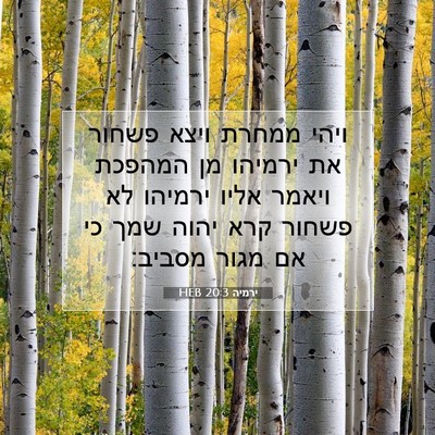 Picture 07 - ירמיה 20:3 HEB - ויהי ממחרת ויצא פשחור את - Bible Verse Picture
