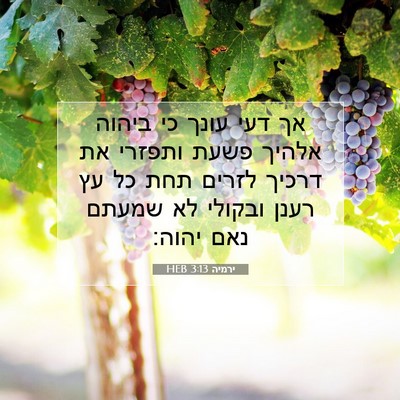 Picture 07 - ירמיה 3:13 HEB - אך דעי עונך כי ביהוה אלהיך - Bible Verse Picture