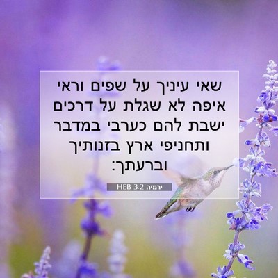 Picture 07 - ירמיה 3:2 HEB - שאי עיניך על שפים וראי איפה - Bible Verse Picture