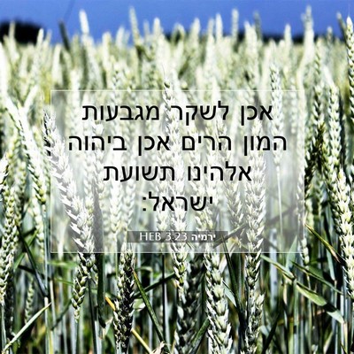 Picture 07 - ירמיה 3:23 HEB - אכן לשקר מגבעות המון הרים - Bible Verse Picture