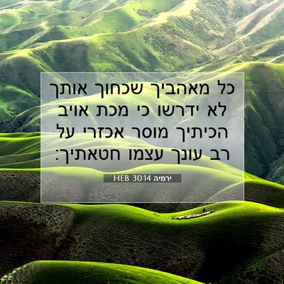 Picture 07 - ירמיה 30:14 HEB - כל מאהביך שכחוך אותך לא - Bible Verse Picture