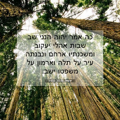 Picture 07 - ירמיה 30:18 HEB - כה אמר יהוה הנני שב שבות - Bible Verse Picture
