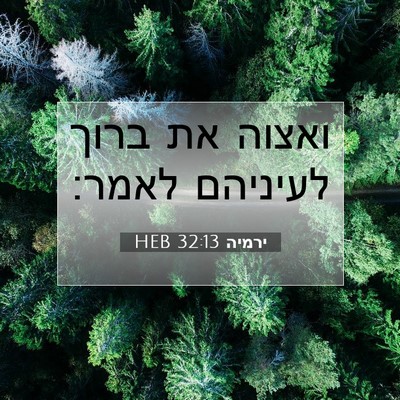 Picture 07 - ירמיה 32:13 HEB - ואצוה את ברוך לעיניהם - Bible Verse Picture