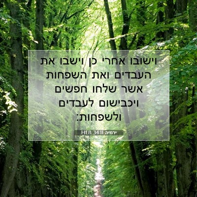 Picture 07 - ירמיה 34:11 HEB - וישובו אחרי כן וישבו את - Bible Verse Picture