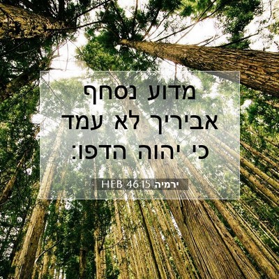 Picture 07 - ירמיה 46:15 HEB - מדוע נסחף אביריך לא עמד כי - Bible Verse Picture