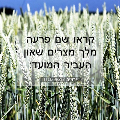 Picture 07 - ירמיה 46:17 HEB - קראו שם פרעה מלך מצרים שאון - Bible Verse Picture