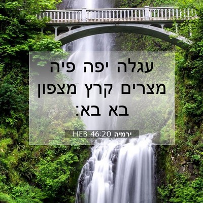 Picture 07 - ירמיה 46:20 HEB - עגלה יפה פיה מצרים קרץ - Bible Verse Picture