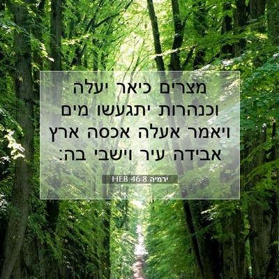 Picture 07 - ירמיה 46:8 HEB - מצרים כיאר יעלה וכנהרות - Bible Verse Picture