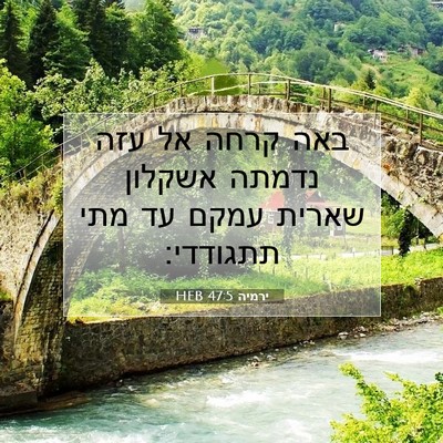 Picture 07 - ירמיה 47:5 HEB - באה קרחה אל עזה נדמתה - Bible Verse Picture