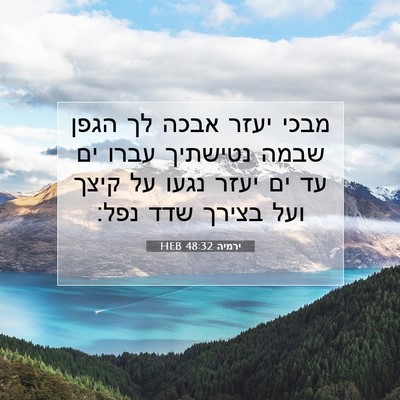 Picture 07 - ירמיה 48:32 HEB - מבכי יעזר אבכה לך הגפן שבמה - Bible Verse Picture