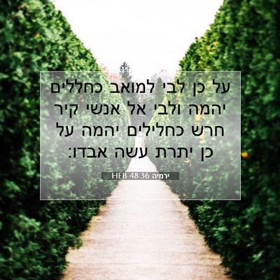 Picture 07 - ירמיה 48:36 HEB - על כן לבי למואב כחללים יהמה - Bible Verse Picture
