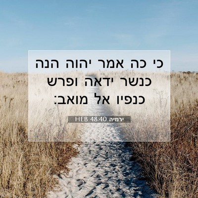 Picture 07 - ירמיה 48:40 HEB - כי כה אמר יהוה הנה כנשר - Bible Verse Picture