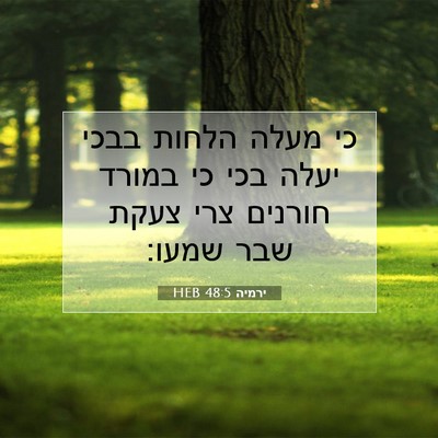 Picture 07 - ירמיה 48:5 HEB - כי מעלה הלחות בבכי יעלה בכי - Bible Verse Picture