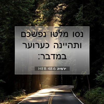 Picture 07 - ירמיה 48:6 HEB - נסו מלטו נפשכם ותהיינה - Bible Verse Picture