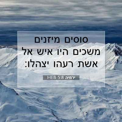 Picture 07 - ירמיה 5:8 HEB - סוסים מיזנים משכים היו איש - Bible Verse Picture