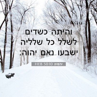 Picture 07 - ירמיה 50:10 HEB - והיתה כשדים לשלל כל שלליה - Bible Verse Picture