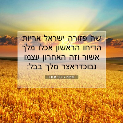 Picture 07 - ירמיה 50:17 HEB - שה פזורה ישראל אריות הדיחו - Bible Verse Picture
