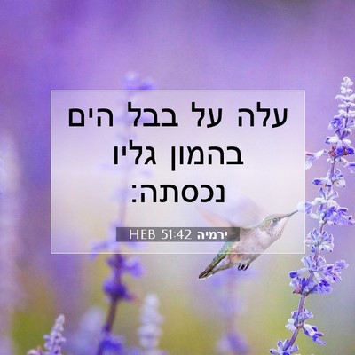 Picture 07 - ירמיה 51:42 HEB - עלה על בבל הים בהמון גליו - Bible Verse Picture