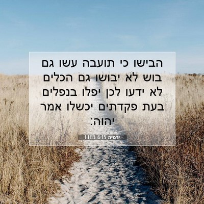 Picture 07 - ירמיה 6:15 HEB - הבישו כי תועבה עשו גם בוש - Bible Verse Picture