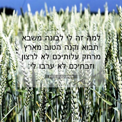 Picture 07 - ירמיה 6:20 HEB - למה זה לי לבונה משבא תבוא - Bible Verse Picture