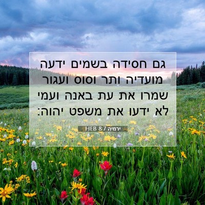 Picture 07 - ירמיה 8:7 HEB - גם חסידה בשמים ידעה מועדיה - Bible Verse Picture