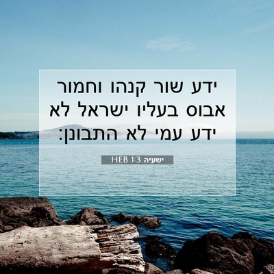 Picture 07 - ישעיה 1:3 HEB - ידע שור קנהו וחמור אבוס - Bible Verse Picture