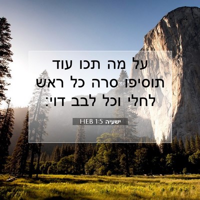 Picture 07 - ישעיה 1:5 HEB - על מה תכו עוד תוסיפו סרה כל - Bible Verse Picture