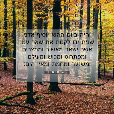 Picture 07 - ישעיה 11:11 HEB - והיה ביום ההוא יוסיף אדני - Bible Verse Picture