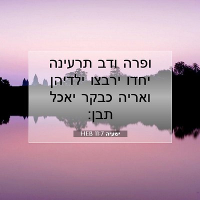 Picture 07 - ישעיה 11:7 HEB - ופרה ודב תרעינה יחדו ירבצו - Bible Verse Picture