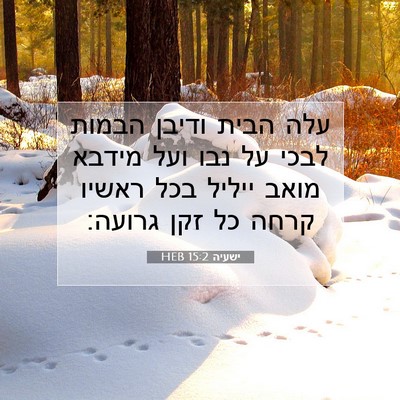 Picture 07 - ישעיה 15:2 HEB - עלה הבית ודיבן הבמות לבכי - Bible Verse Picture