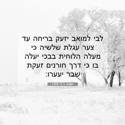 Picture 07 - ישעיה 15:5 HEB - לבי למואב יזעק בריחה עד צער - Bible Verse Picture