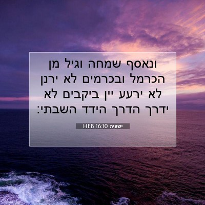 Picture 07 - ישעיה 16:10 HEB - ונאסף שמחה וגיל מן הכרמל - Bible Verse Picture
