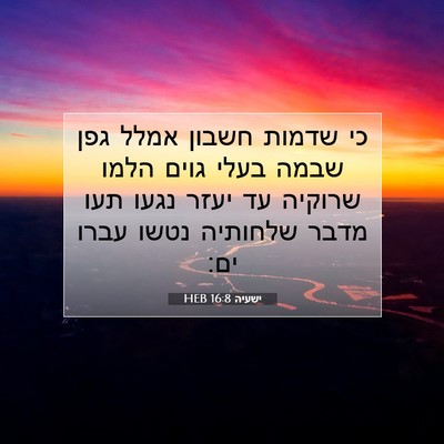 Picture 07 - ישעיה 16:8 HEB - כי שדמות חשבון אמלל גפן - Bible Verse Picture