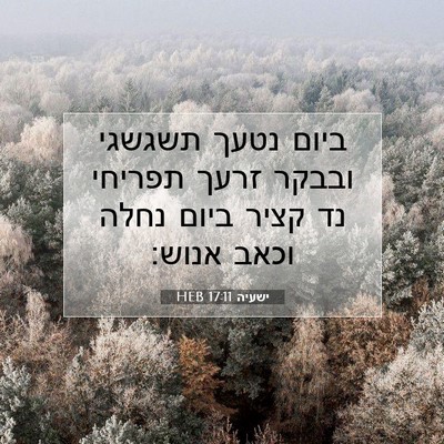 Picture 07 - ישעיה 17:11 HEB - ביום נטעך תשגשגי ובבקר - Bible Verse Picture