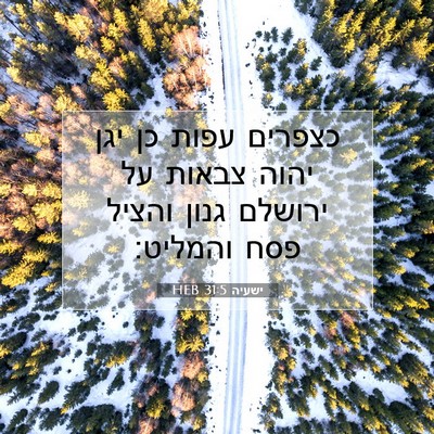 Picture 07 - ישעיה 31:5 HEB - כצפרים עפות כן יגן יהוה - Bible Verse Picture