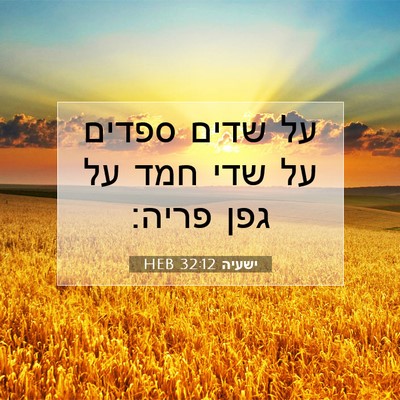 Picture 07 - ישעיה 32:12 HEB - על שדים ספדים על שדי חמד על - Bible Verse Picture