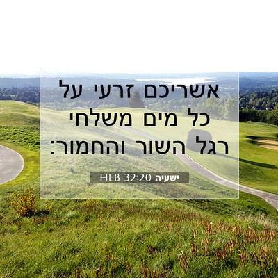 Picture 07 - ישעיה 32:20 HEB - אשריכם זרעי על כל מים משלחי - Bible Verse Picture