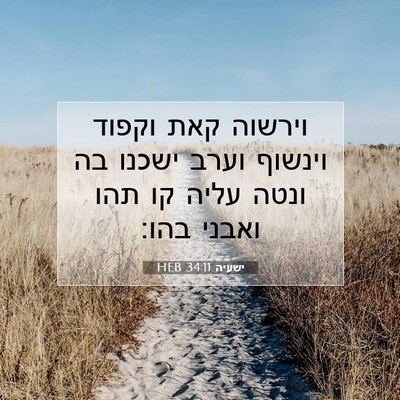 Picture 07 - ישעיה 34:11 HEB - וירשוה קאת וקפוד וינשוף - Bible Verse Picture