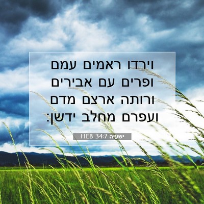 Picture 07 - ישעיה 34:7 HEB - וירדו ראמים עמם ופרים עם - Bible Verse Picture