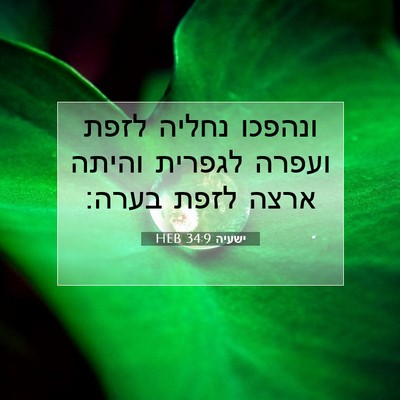 Picture 07 - ישעיה 34:9 HEB - ונהפכו נחליה לזפת ועפרה - Bible Verse Picture