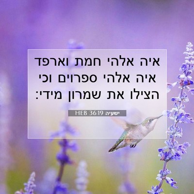 Picture 07 - ישעיה 36:19 HEB - איה אלהי חמת וארפד איה אלהי - Bible Verse Picture