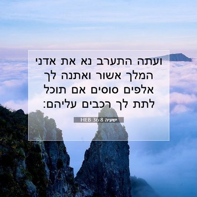 Picture 07 - ישעיה 36:8 HEB - ועתה התערב נא את אדני המלך - Bible Verse Picture