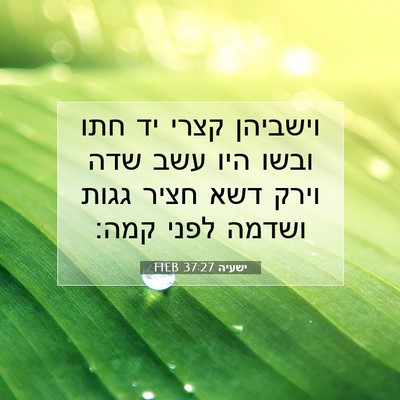 Picture 07 - ישעיה 37:27 HEB - וישביהן קצרי יד חתו ובשו - Bible Verse Picture