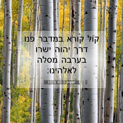 Picture 07 - ישעיה 40:3 HEB - קול קורא במדבר פנו דרך יהוה - Bible Verse Picture